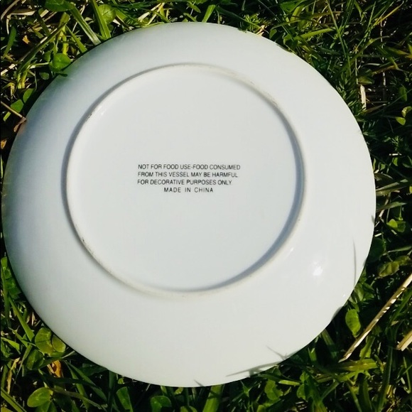 Decor Ducks Plate!! 🦆 - Picture 3 of 3